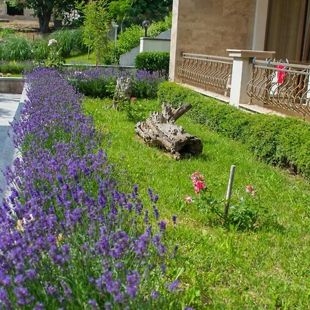 Hotel Paraiso Theopolis Obzor