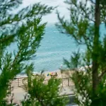 Paraiso Theopolis Обзор