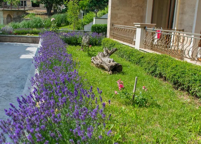 Отель Paraiso Theopolis Обзор