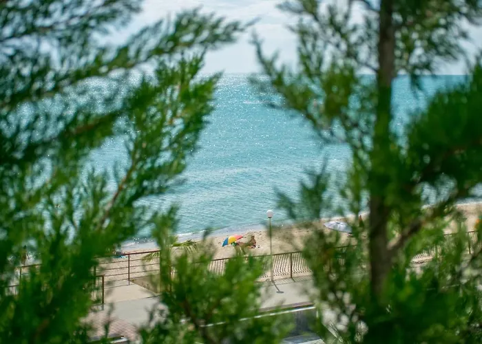 Paraiso Theopolis Обзор